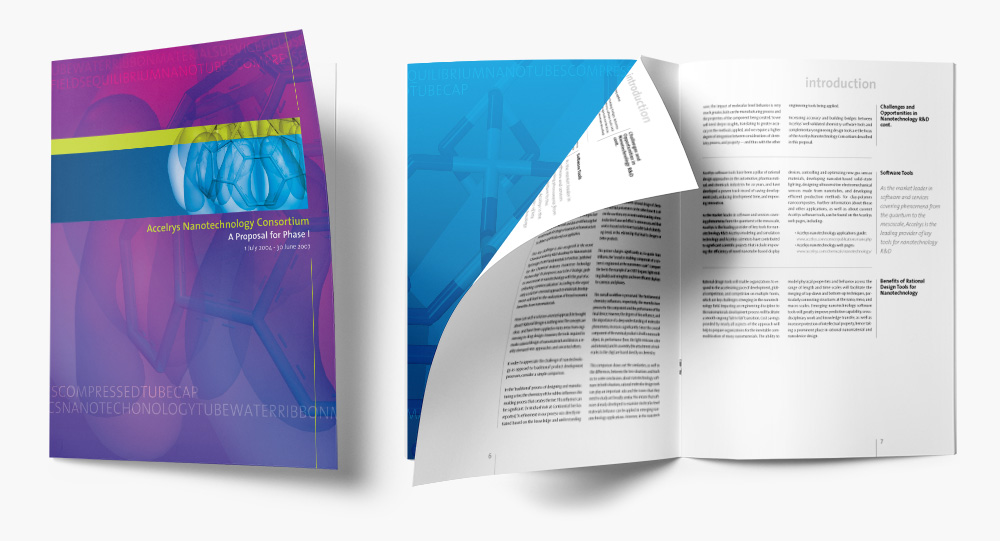 Accelrys Nanotechnology proposal